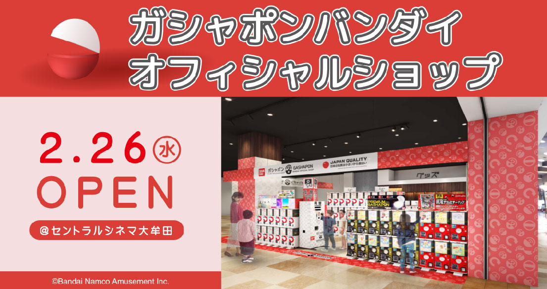 カホン 1年保証付き 新品アウトレット 視聴動画有り No.25033 カホン 1年保証付き 新品アウトレット 視聴動画有り No.25033 カホン 1